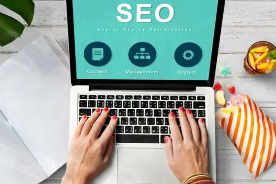 seo habilidades